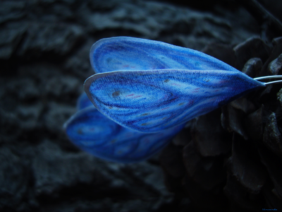 Длинные серьги на дугах "Крылышки феи Небесной Лазури"