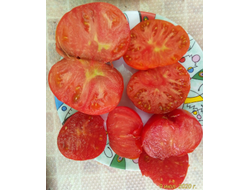 Томат Синий Том (Blue Tom)