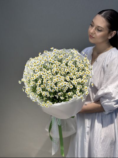 Охапка ромашек M