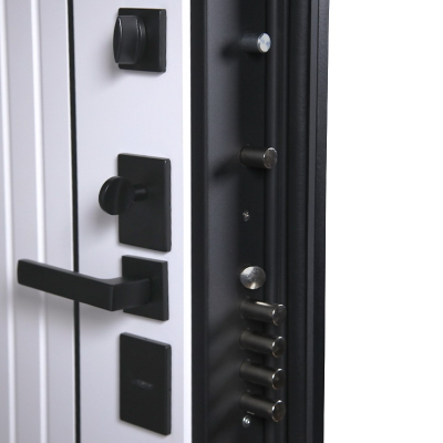 Стальная дверь   Freedom Заказная модель.