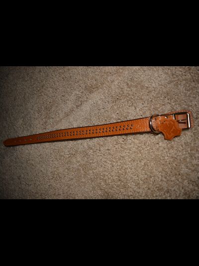 Ошейник Кожа подвернутый фурнитура 3,0см*55см