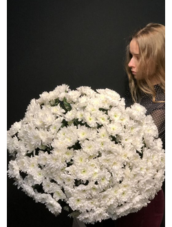 31 ХРИЗАНТЕМА