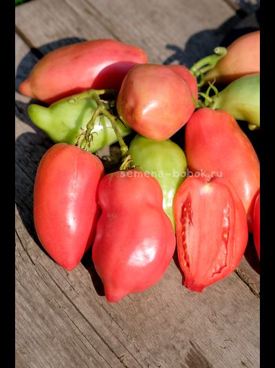 Томат Брикодейки Минусинские, 10 шт