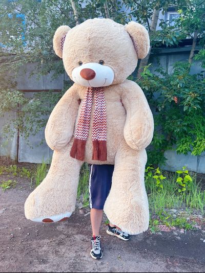 Гигантский плюшевый медведь 280 см кремовый Михель