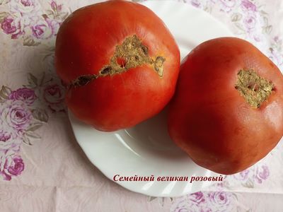 Томат Семейный великан