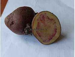 Картофель Розовый Меланж