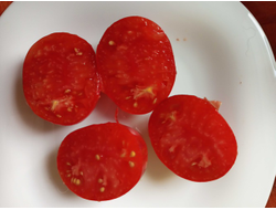 Томат Огненная комета Софии