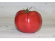 ROSE TOMATO (Розовый томат)