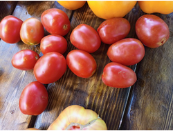 Томат Аргентинская сливка