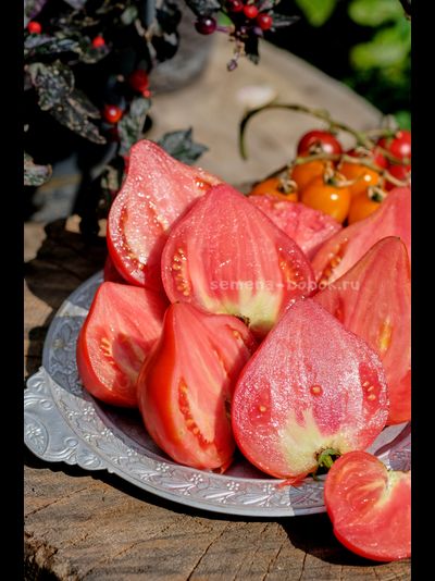 Томат Кызыл Тау, 10 шт