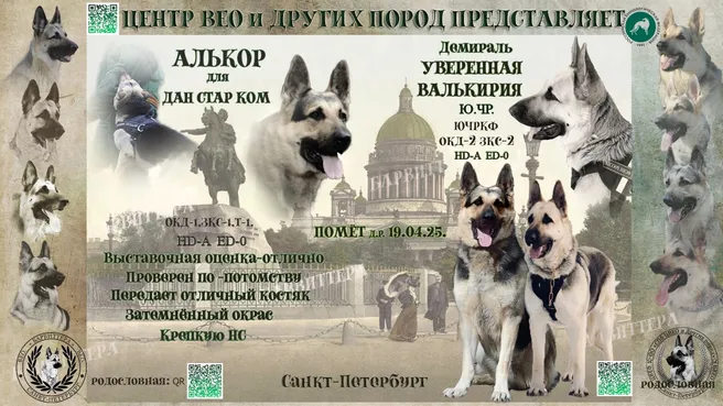 Рекламный макет