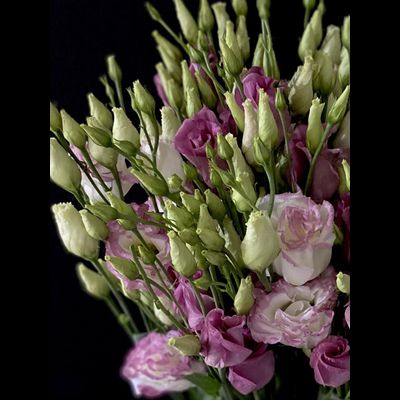 Эустома 35 шт