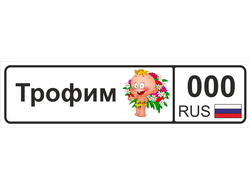 Номер на детскую коляску Трофим