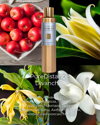 Сет "Новинки августа"