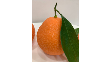 Муссовое пирожное
Ванильный мусс+сочный мандарин и манго
Стоимость 500р/шт, минимальный заказ 6 шт
Предложение сезонное! 