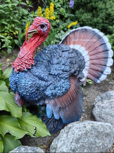 Индюк красавец 49*44 см  4,5 кг  полистоун Россия 4212/012551