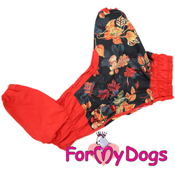 Дождевик Листья красный