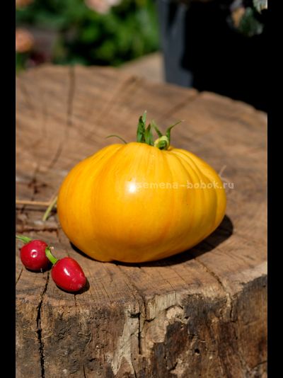 Томат Дынный Ликёр, 10 шт