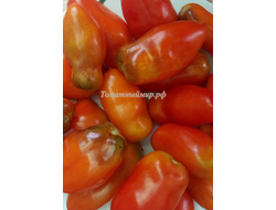 Томат Osu o Blonde avec Tetons (Пышногрудая блондинка Osu)