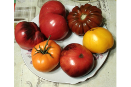 разноцветное ассорти