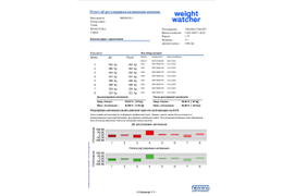 Пример отчета о натяжении тяговых канатов
