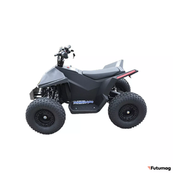 Электроквадроцикл Skyboard CyberTruck Sochi Power 1000W (дифференциальный редуктор)