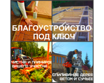 Удалить опасное дерево. Услуги арбористов, услуги по удалению деревьев, спилить дерево, спиливание д