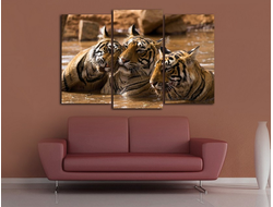 Модульная картина "Тигры в воде"