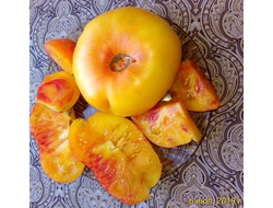 Томат Желтый камень (Yellow Stone)