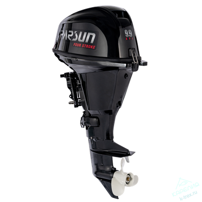 Лодочный мотор Parsun F9.9AFWS-EFI Черный