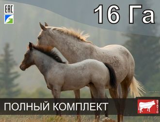 Электропастух СТАТИК-3М для лошадей на 16 Га - Удержит даже самого резвого скакуна!