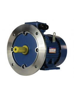 Электродвигатель 5АИ 132M8 (5,5 кВт) IM 2081