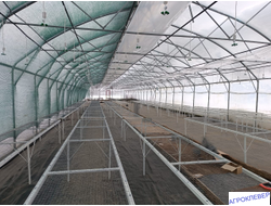 Система тумана низкого давления (480м2) 9,6 х 50м расход 5,2м3/ч (без ёмкости)