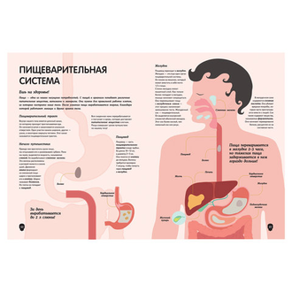 Тело человека. Визуальный гид, Перабони К., 36713