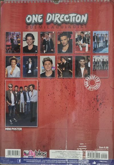 One Direction Календарь 2015
