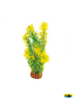 Ар0400 Растение Амбулия 200мм