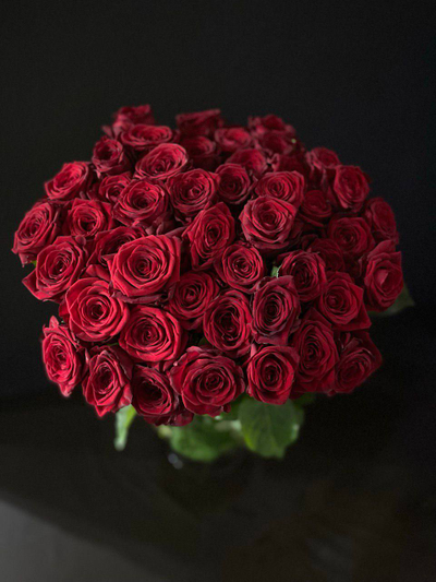 Роза Россия 60 см. 51 шт