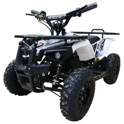 Детский квадроцикл MOTAX Mini Grizlik X-16 E1000