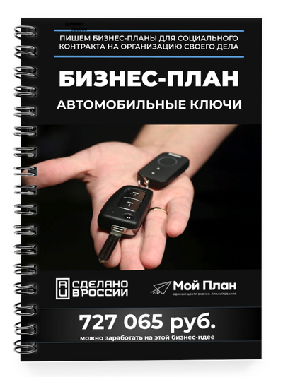 Бизнес-план для социального контракта в 2022 г. Ниша: Изготовление и программирование автомобильных