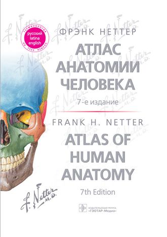 Атлас анатомии человека 7-е изд. Терминология на русском, латинском и английском языках. Неттер Ф. &quot;ГЭОТАР-Медиа&quot;. 2022