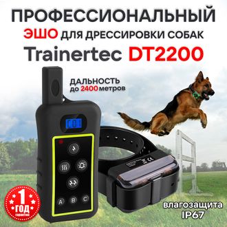 вид электронного ошейника для охоты Trainertec DT2000