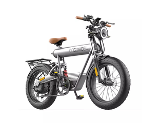 COSWHEEL T20R