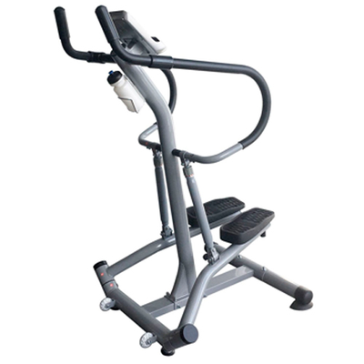 Степпер с поручнями DFC SC-S5901