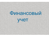 Финансовый учет. Тест 21. 20в