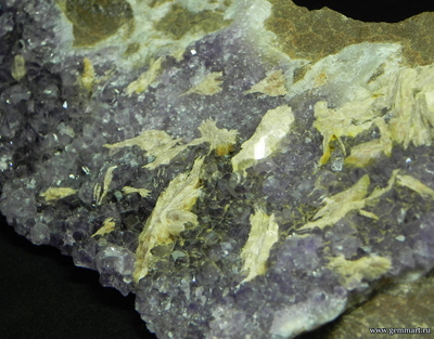 Друза Аметиста с баритом на породе