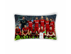 Подушка горизонтальная Ливерпуль, Liverpool FC №5