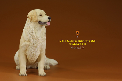 Белый ретривер (сидящий) - Коллекционная ФИГУРКА 1/6 scale Animal Model Golden Retriever 2.0 (MRZ057-1B) - Mr.Z