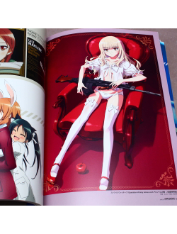 Оригинальный Арт Бук Strike Witches The Movie and OVA (Штурмовые ведьмы)