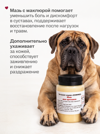 МАЗЬ ДЛЯ СУСТАВОВ ДЛЯ СОБАК, 100 ГР.