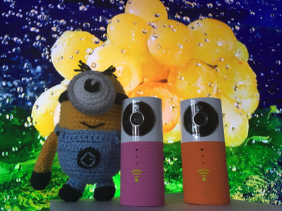 Видеоняня /WiFi видеокамера CleverDog с DVR